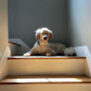 Meet your Posher, Meagan